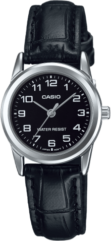 Casio Standard