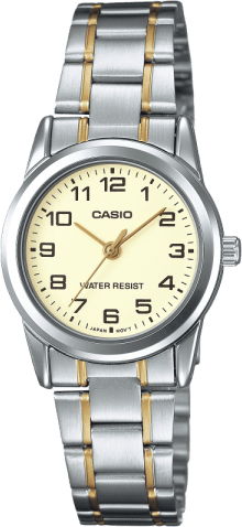 Casio Standard