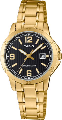 Casio Standard