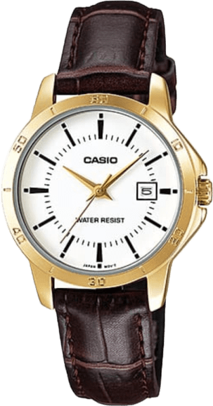Casio Standard