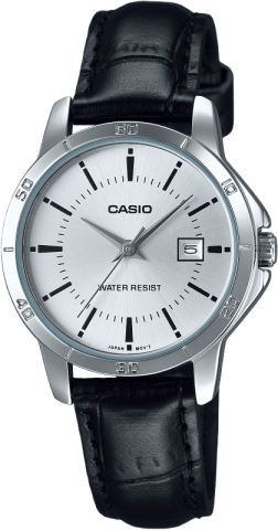 Casio Standard