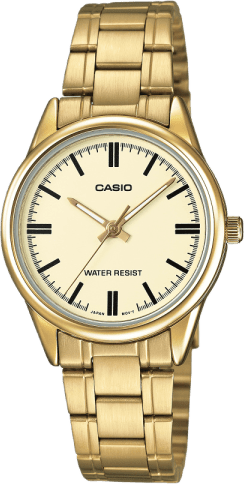 Casio Standard