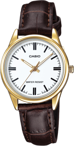 Casio Standard