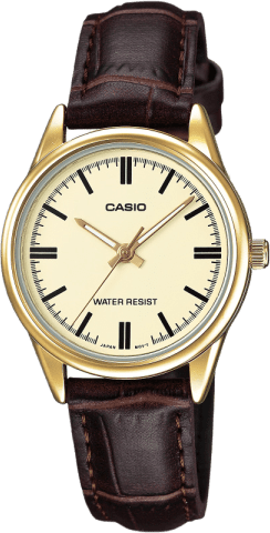 Casio Standard