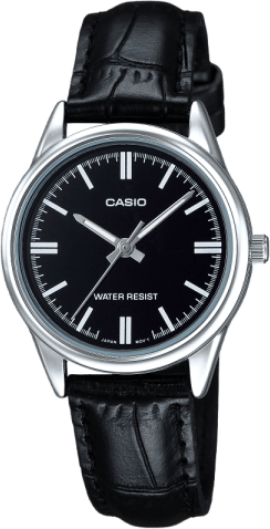 Casio Standard