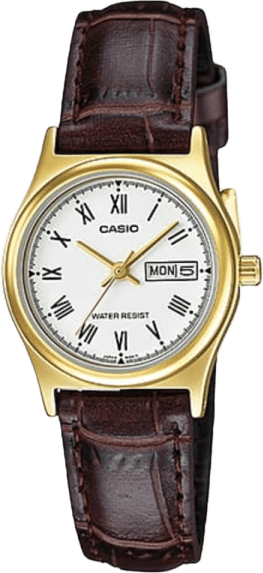 Casio Standard