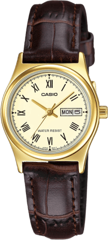 Casio Standard