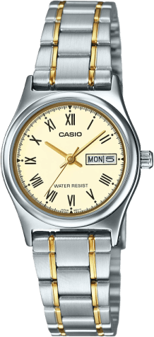 Casio Standard