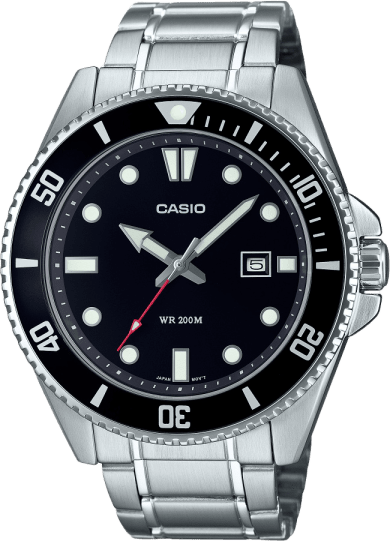 Casio Standard