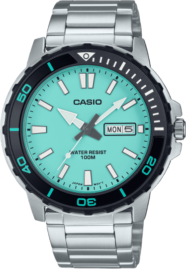 Casio Standard