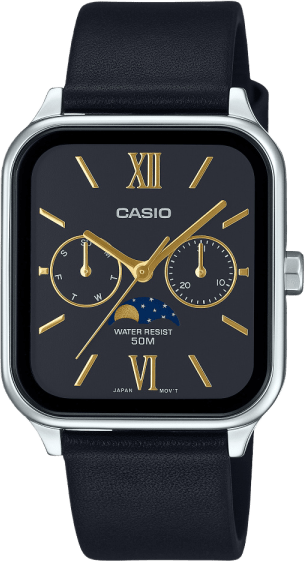 Casio Standard