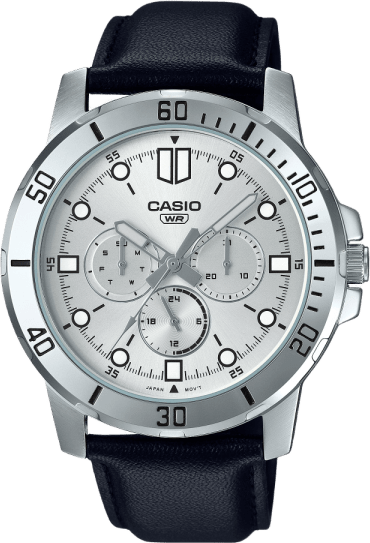 Casio Standard