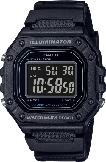 Casio Standard