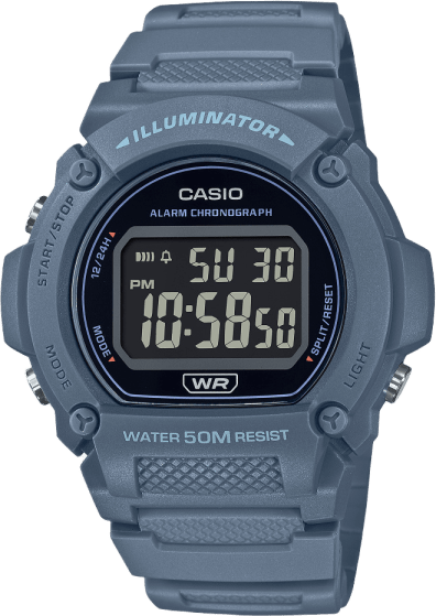 Casio Standard