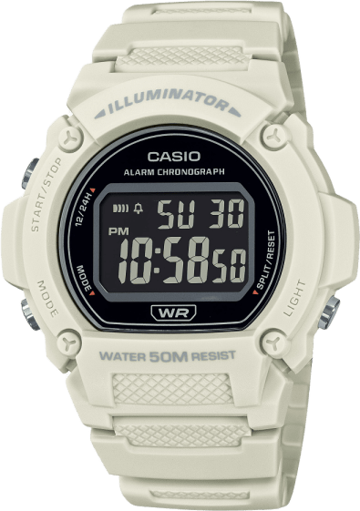 Casio Standard