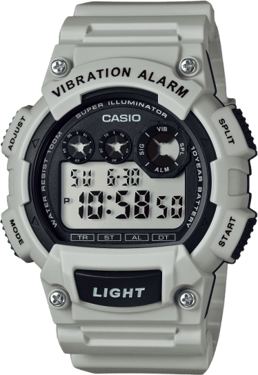 Casio Standard