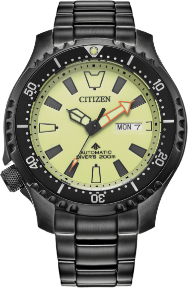 Citizen Promaster Dive Automatic
