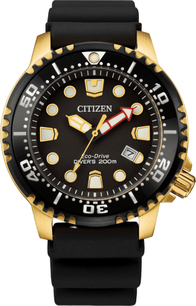 Citizen Promaster Dive