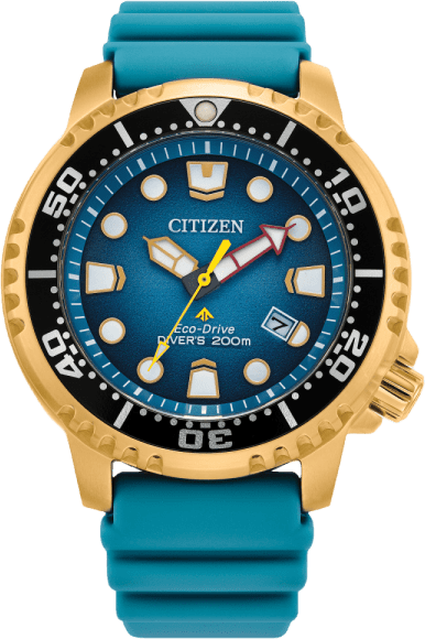 Citizen Promaster Dive