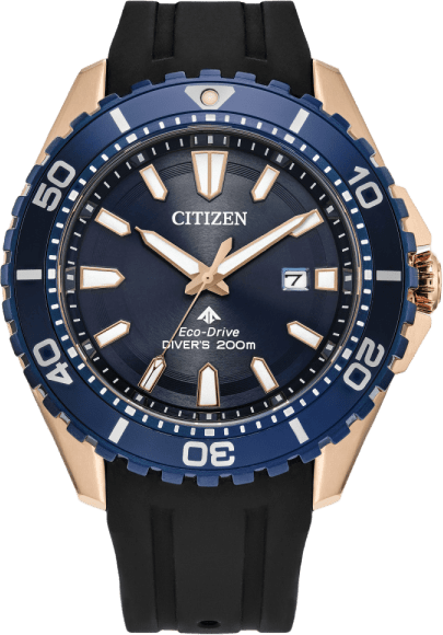 Citizen Promaster Dive