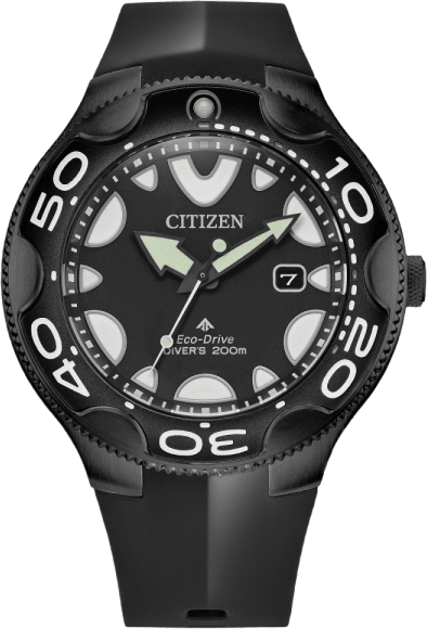 Citizen Promaster Dive