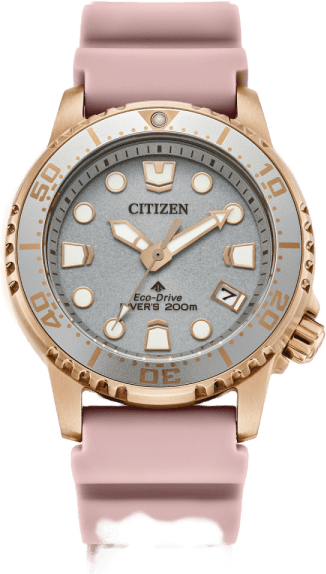 Citizen Promaster Dive