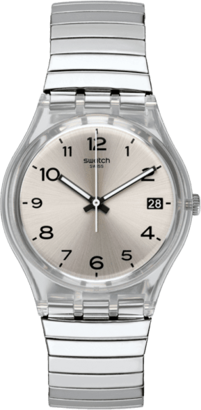 Swatch Metallixsilverall