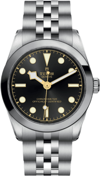 Tudor Black Bay 31