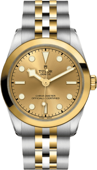 Tudor Black Bay 31 S&g