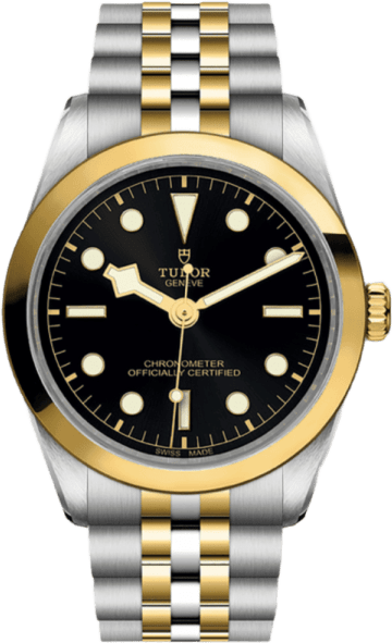 Tudor Black Bay 36 S&g