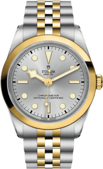 Tudor Black Bay 36 S&g