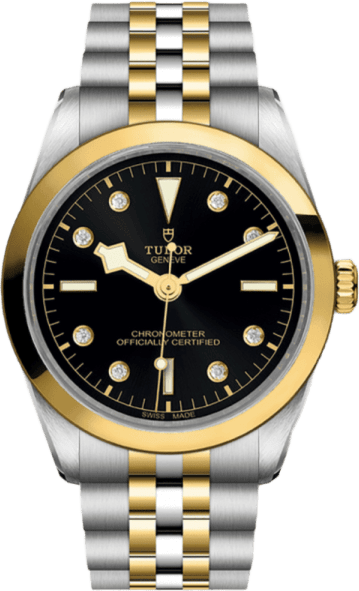 Tudor Black Bay 36 S&g