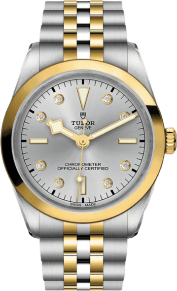 Tudor Black Bay 36 S&g