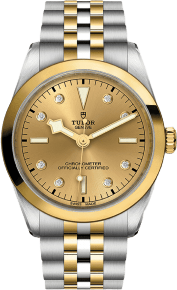 Tudor Black Bay 36 S&g