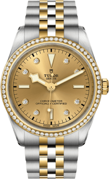 Tudor Black Bay 36 S&g