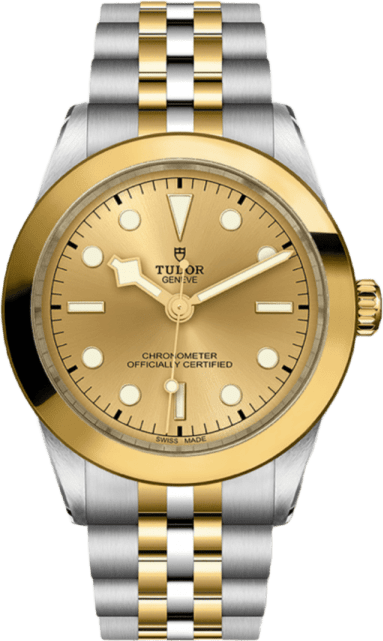 Tudor Black Bay 39 S&g