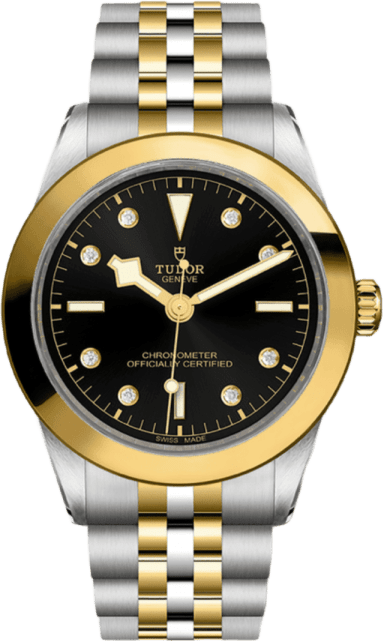 Tudor Black Bay 39 S&g