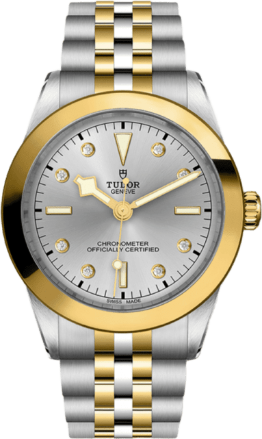 Tudor Black Bay 39 S&g