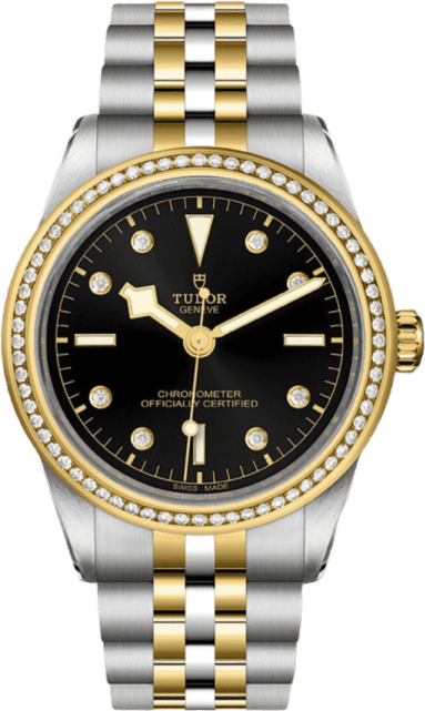 Tudor Black Bay 39 S&g
