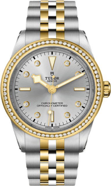 Tudor Black Bay 39 S&g