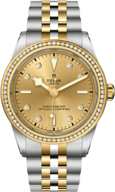 Tudor Black Bay 39 S&g