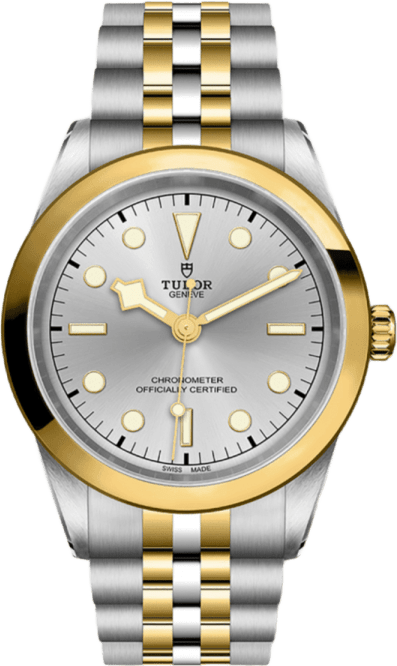 Tudor Black Bay 41 S&g