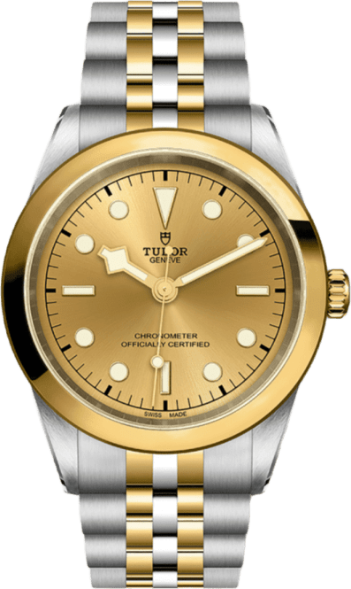 Tudor Black Bay 41 S&g