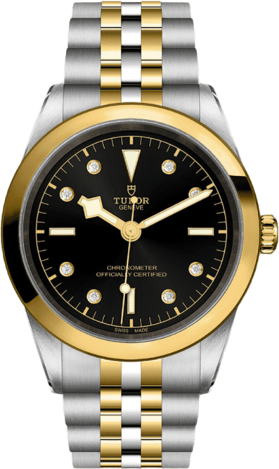 Tudor Black Bay 41 S&g