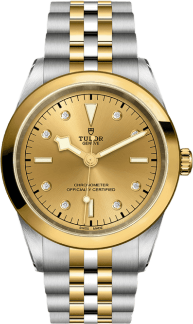 Tudor Black Bay 41 S&g