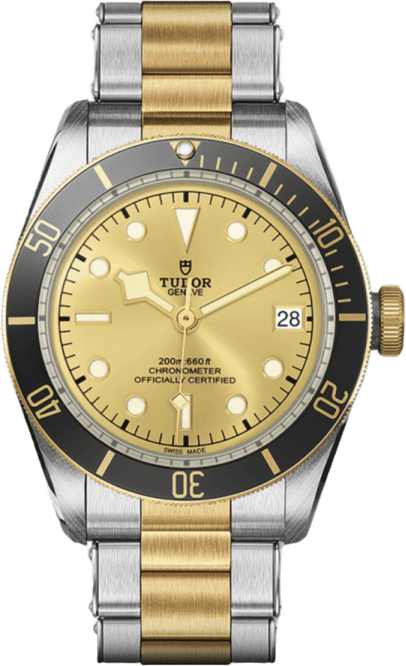 Tudor Black Bay S&g