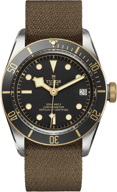 Tudor Black Bay S&g