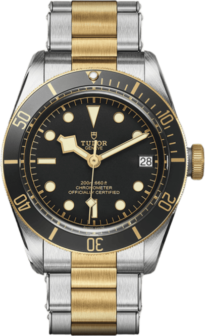 Tudor Black Bay S&g