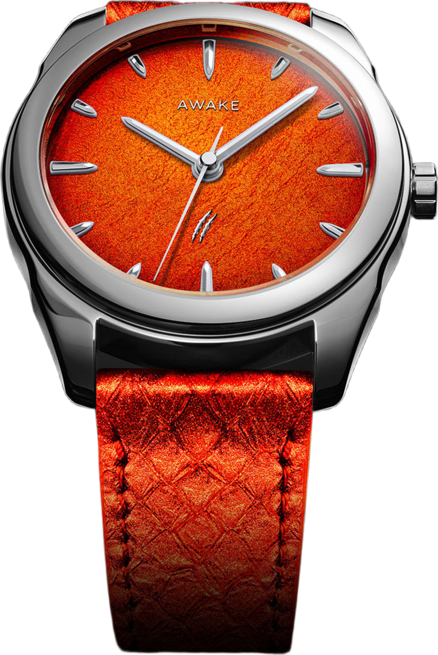 Awake Jurassic Watch T-REX Edition