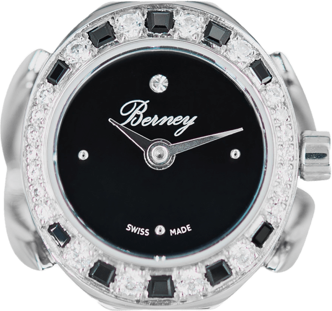 Berney Watch NIGHT & DAY